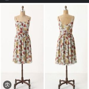 Anna Sui For Anthropologie BNWT Rose And Hortensia Silk Dress Size 8